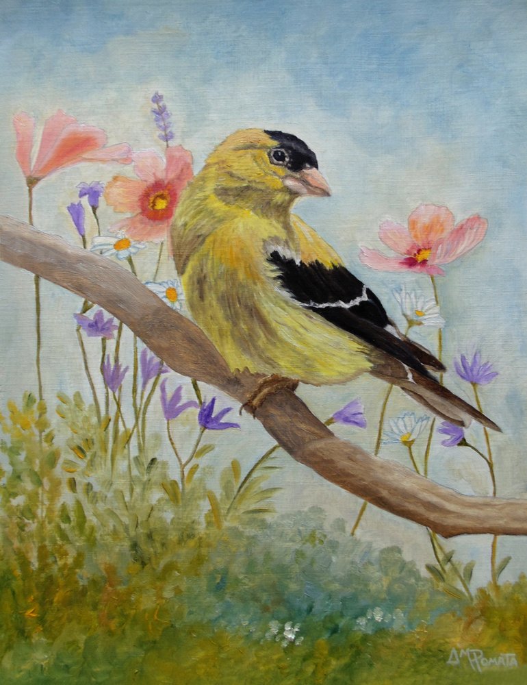 Een distelvink tussen de wilde bloemen door Angeles M. Pomata