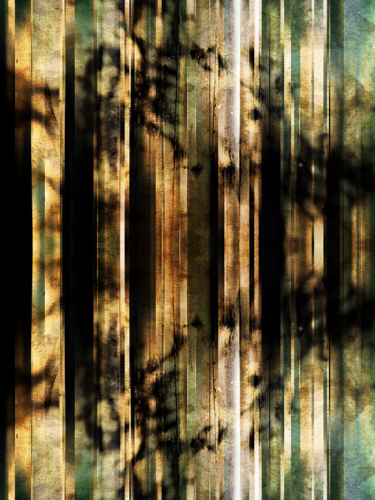 Abstracte bosschaduwen door Angelo Cerantola