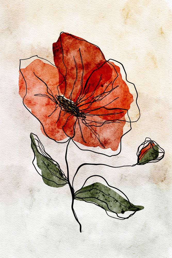Rode aquarelpapaver door Ankie Kooi