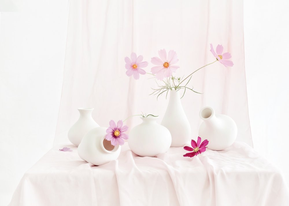 Stilleven met roze cosmos door Anna Qu
