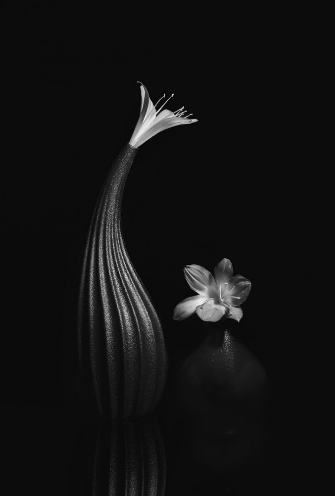 Elegant bloemstilleven door Anna Qu