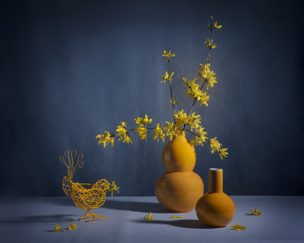 Stilleven met gouden forsythia door Anna Qu