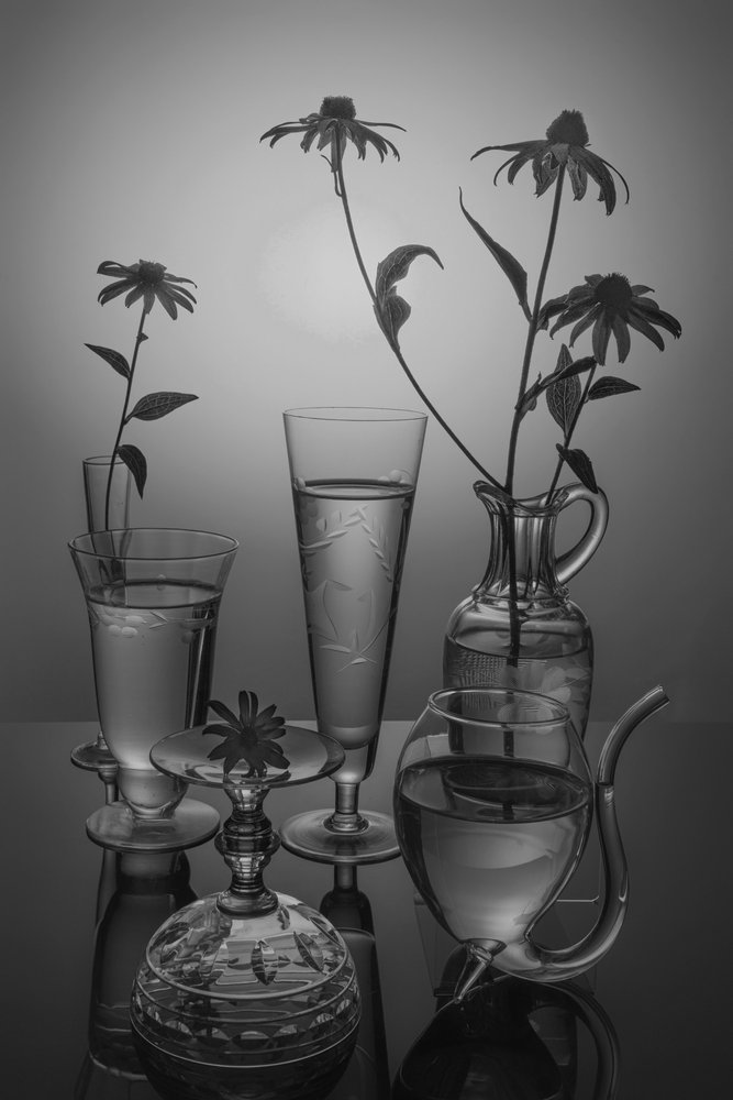 Monochrome bloemen en glas door Anna Qu
