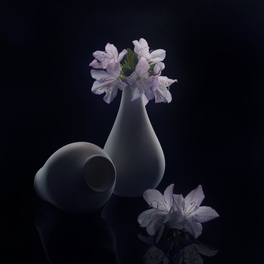 Sfeervolle bloemen en vazen door Anna Qu
