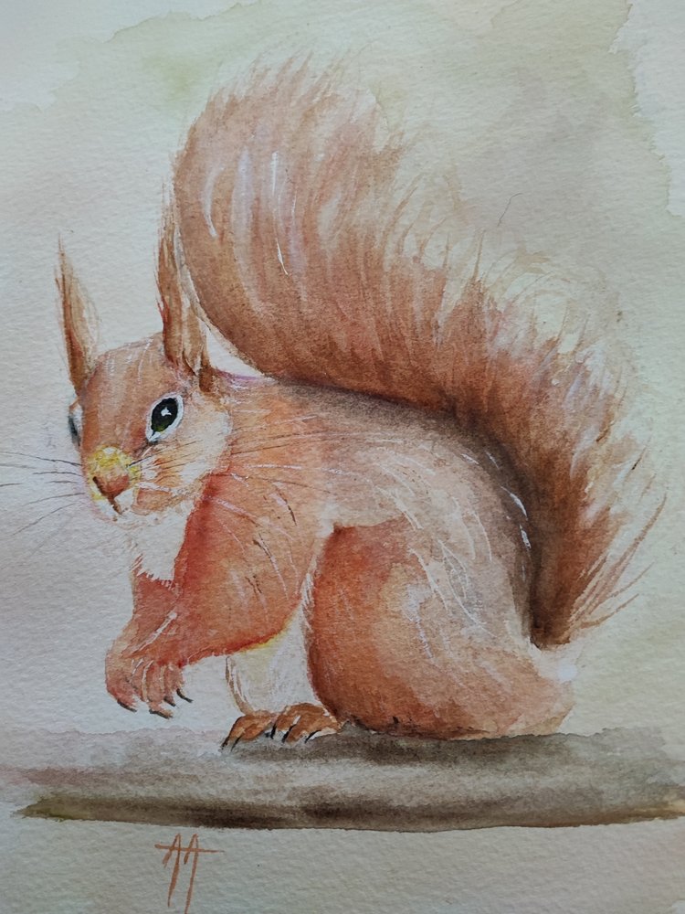 Schattige rode eekhoorn door Annette Armitage