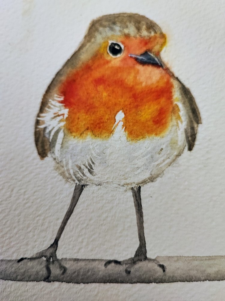 Schattig roodborstje in aquarel door Annette Armitage