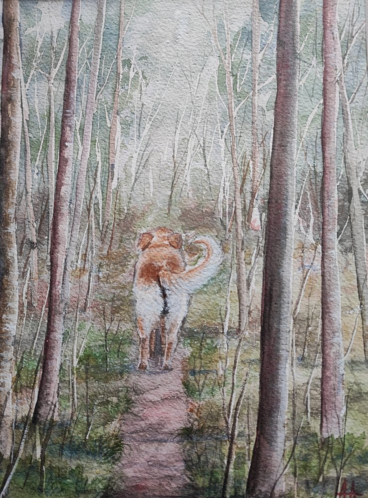 Wandeling door het bos met de hond door Annette Armitage