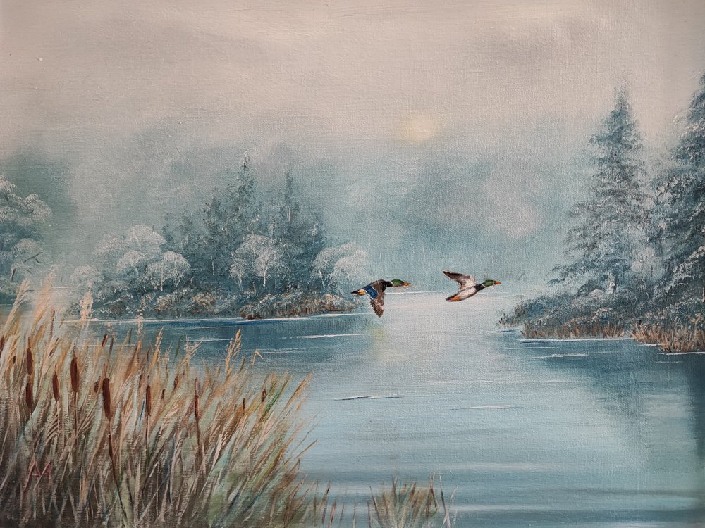 Eenden boven het Wintermeer door Annette Armitage