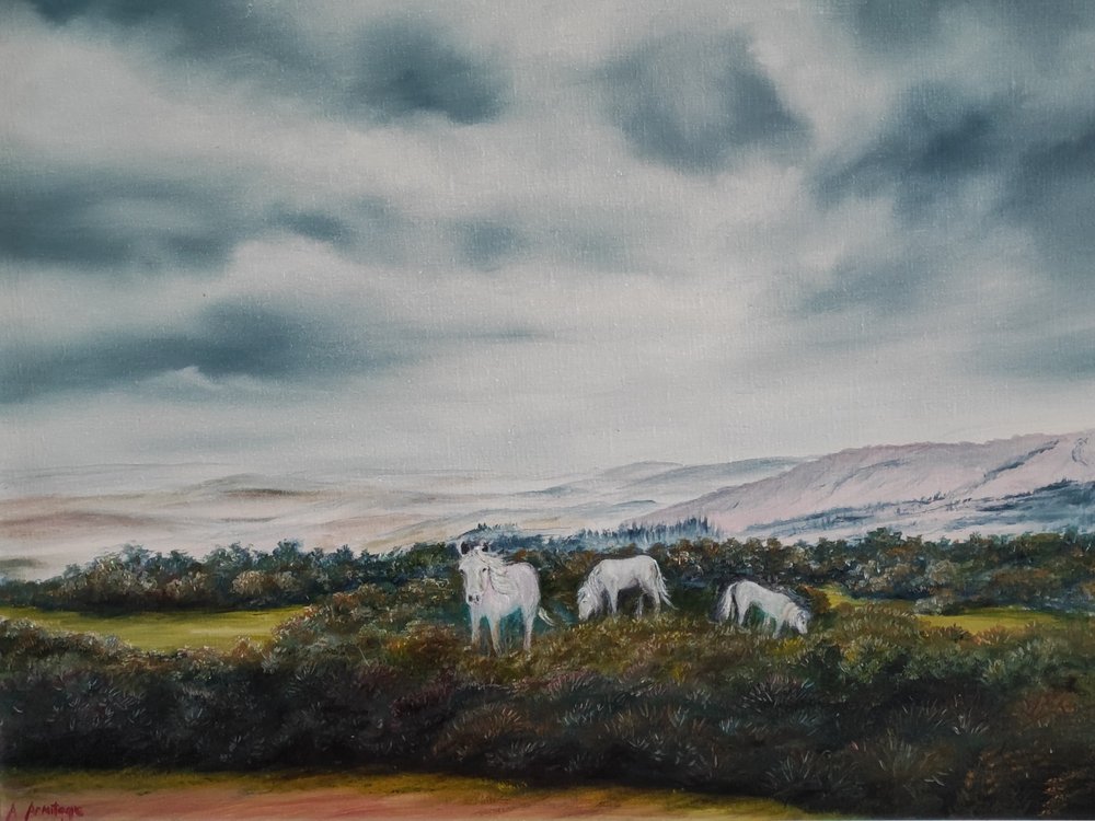 Serene Moorland-pony’s door Annette Armitage
