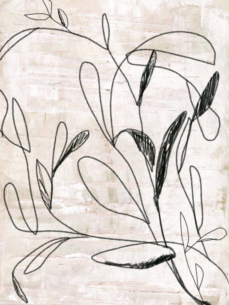 Botanische lijntekening door Annick