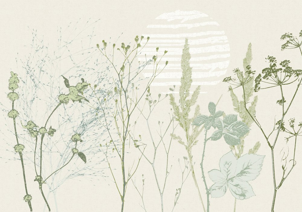 Ingetogen botanische zonsopgang door Annick