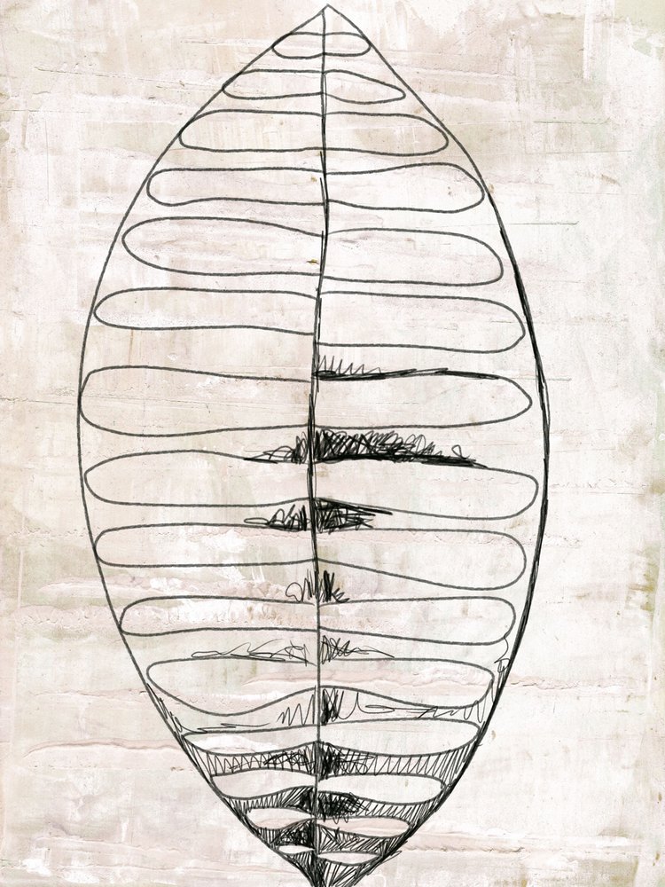 Biologische blad-lijntekeningen door Annick