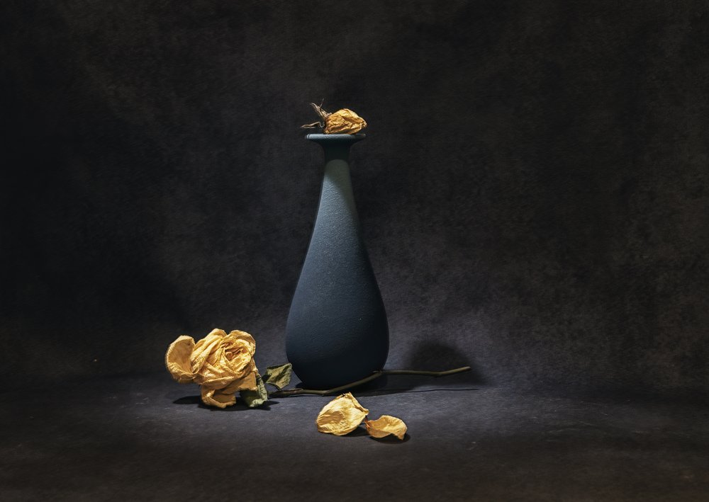 Melancholische gedroogde rozen door Betty Liu