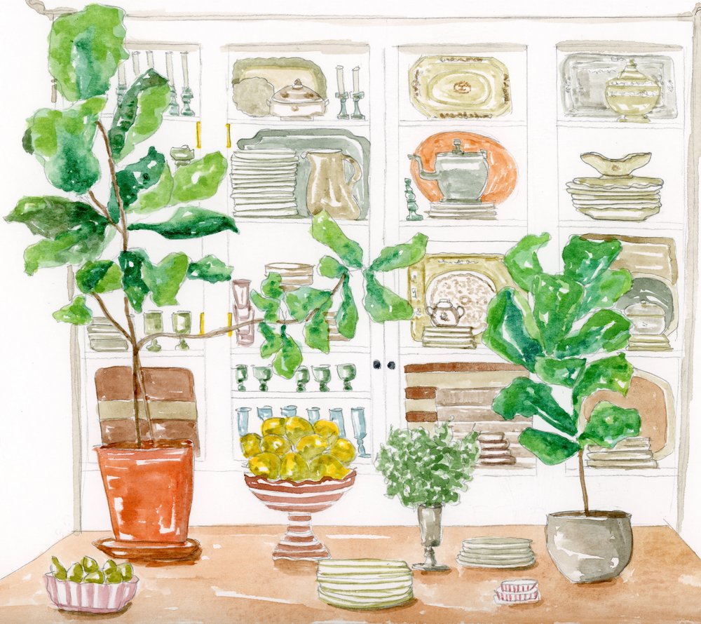 Planten voor in de keukenkast door Breanna Megan Studio