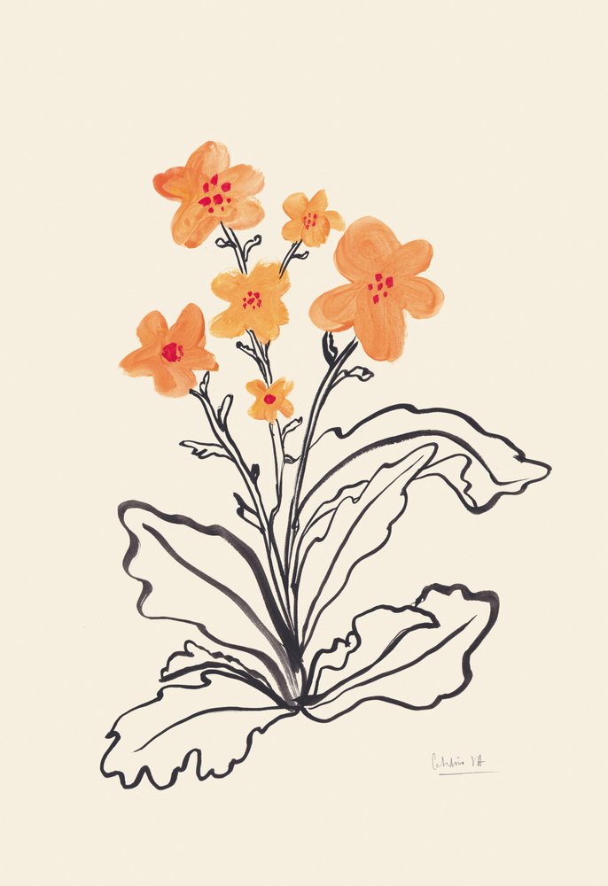 Levendige oranje bloemen door Catalina Somolinos