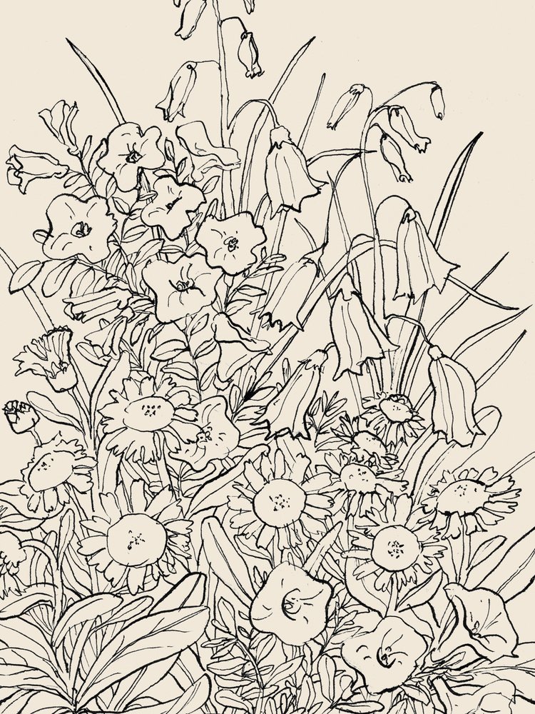 Wilde tuinbloemen door Catalina Somolinos