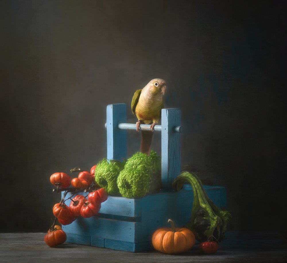 Herfststilleven met papegaai door Catherine Wang