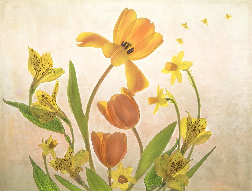 Gouden lentebloemen door Catherine Wang