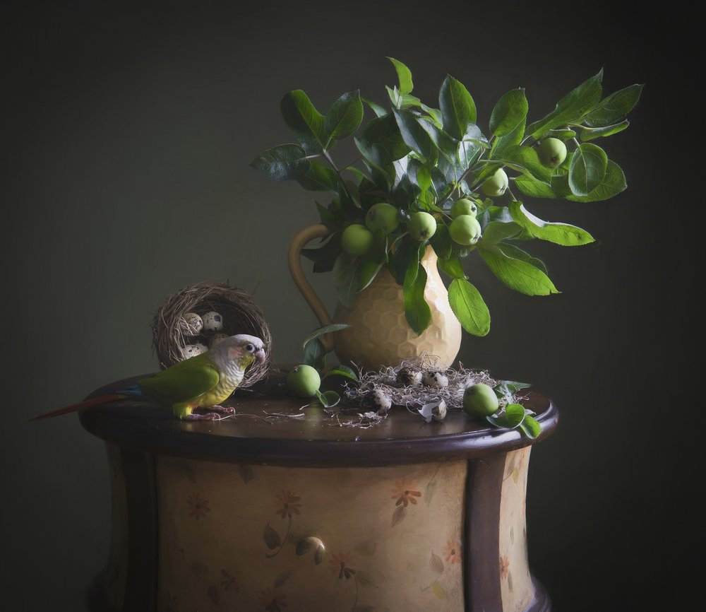Stilleven met groene papegaai door Catherine Wang