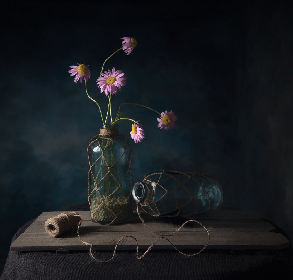 Rustiek stilleven met madeliefjes door Catherine Wang