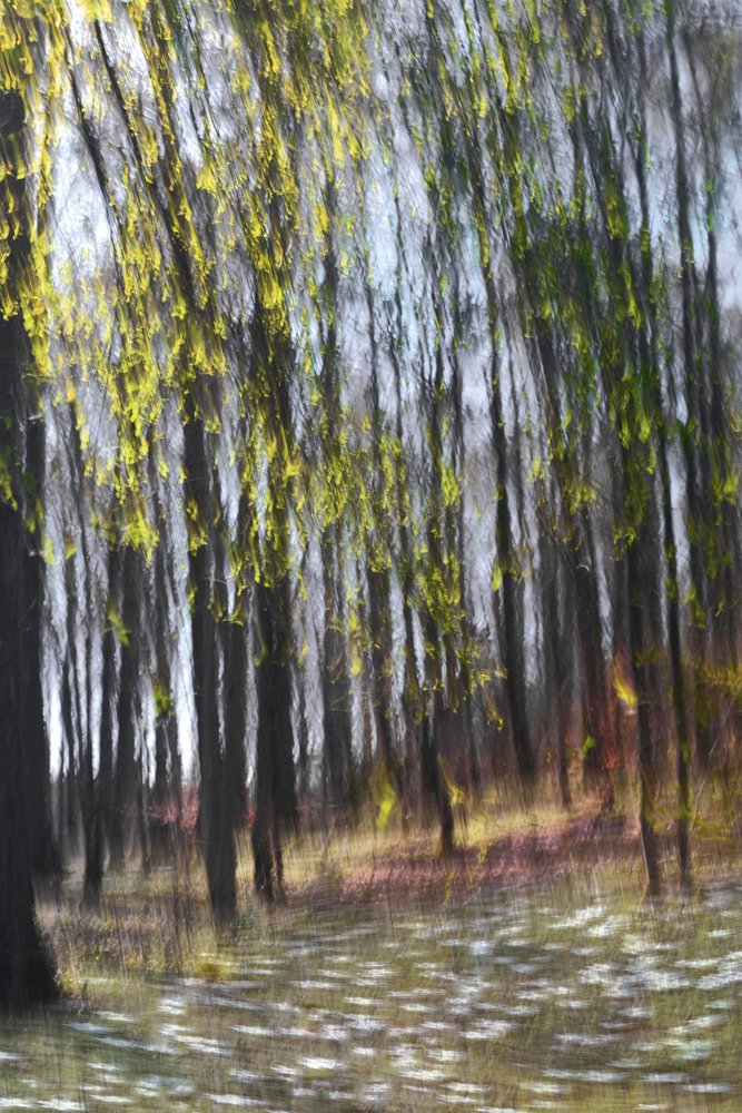  door Christina Sillen