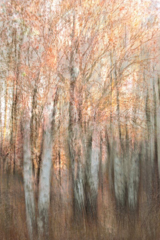  door Christina Sillen