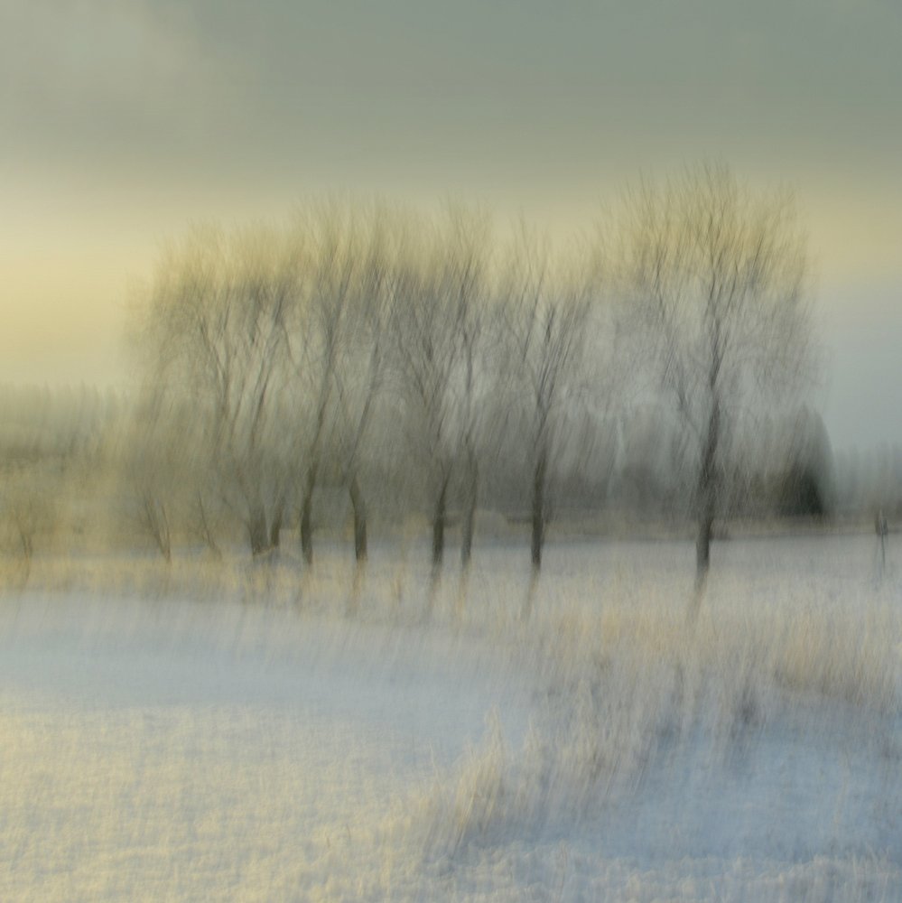  door Christina Sillen