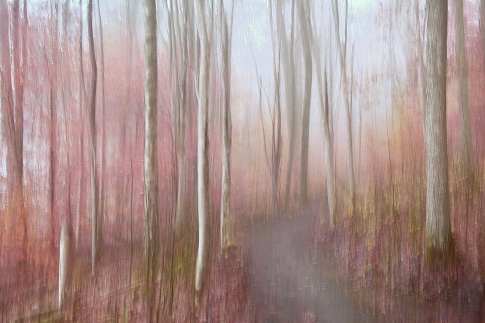  door Christina Sillen