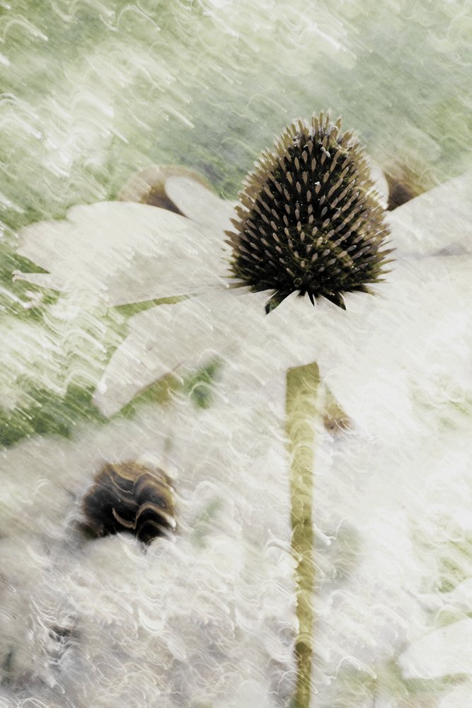 Dromerige witte zonnehoed door Christina Sillen