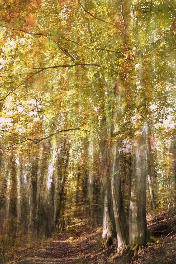  door Christina Sillen