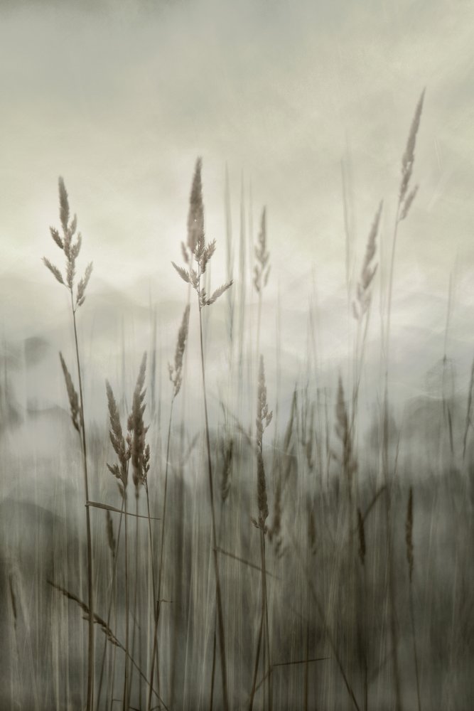  door Christina Sillen