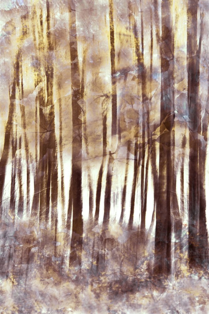 Etherisch winterbos door Christina Sillen