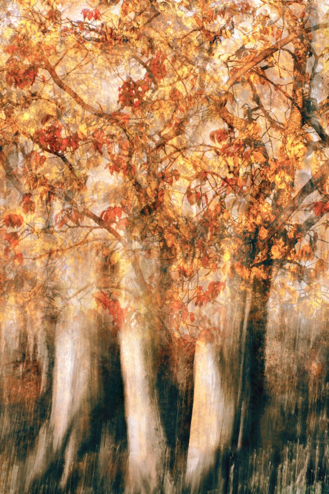  door Christina Sillen