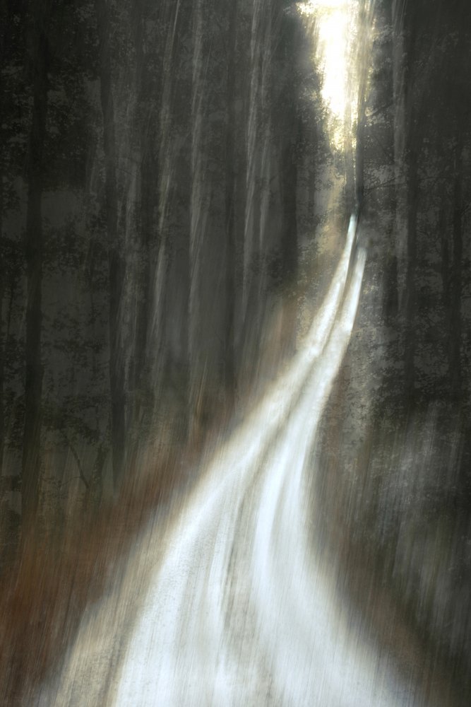 Verlicht bospad door Christina Sillen
