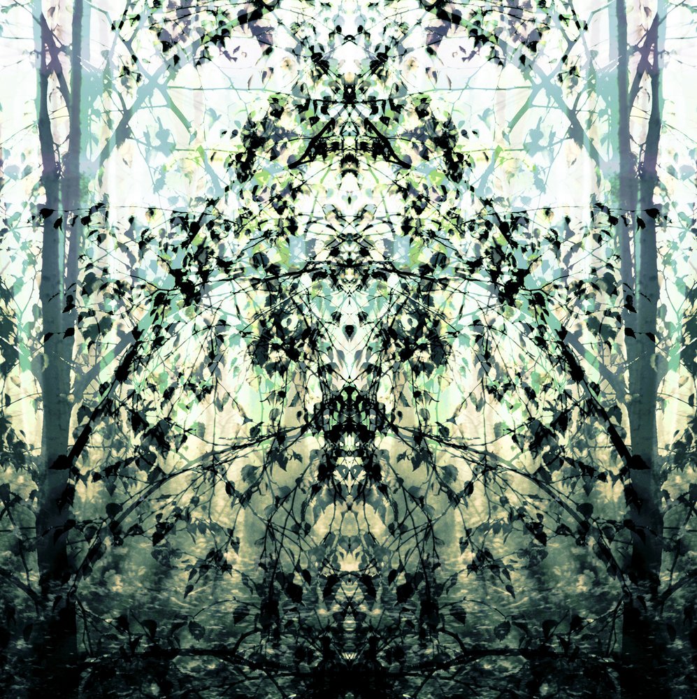 Spiegelbosdroom door Christina Sillen