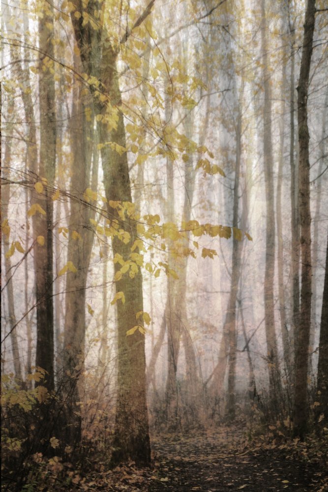 Mistig herfstpad door Christina Sillen