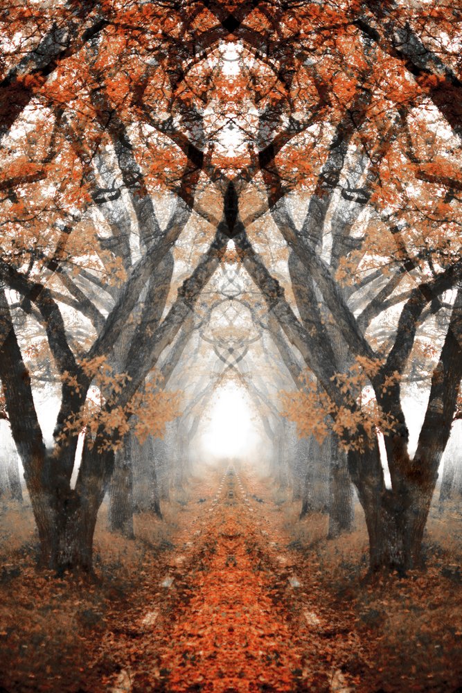 Mistig herfstpad door Christina Sillen