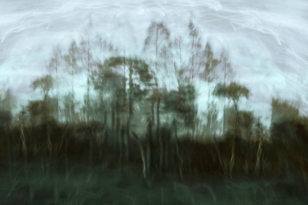  door Christina Sillen