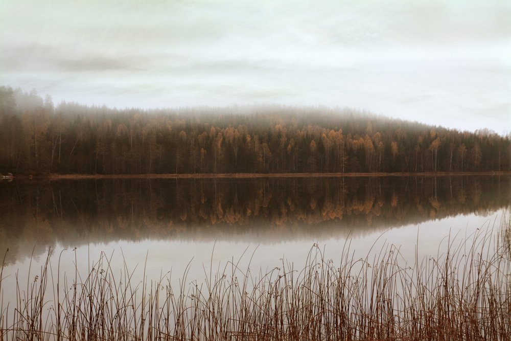 Weerspiegelingen in het mistige bos door Christina Sillen