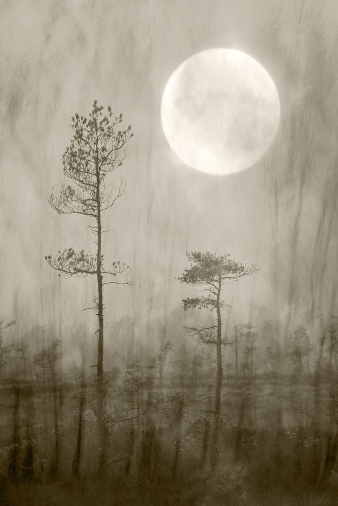 Misty Moon Over - Boek door Christina Sillen