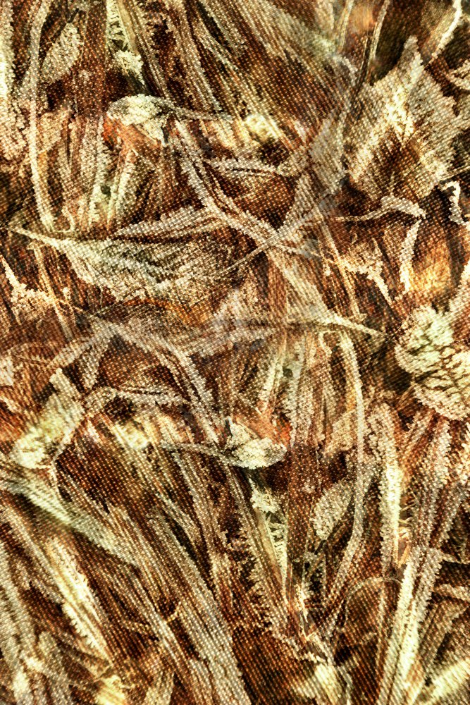Natuurlijk camouflagepatroon door Christina Sillen