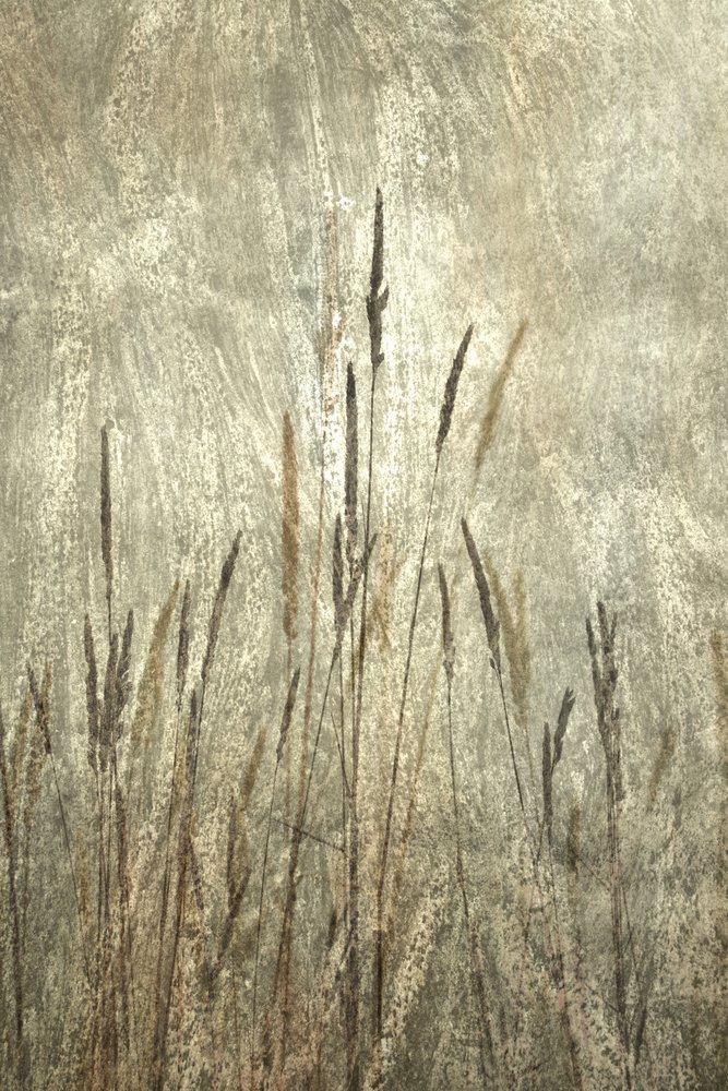  door Christina Sillen