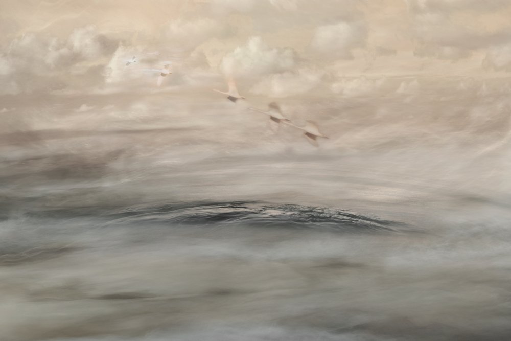 Silver Haze door Christina Sillen