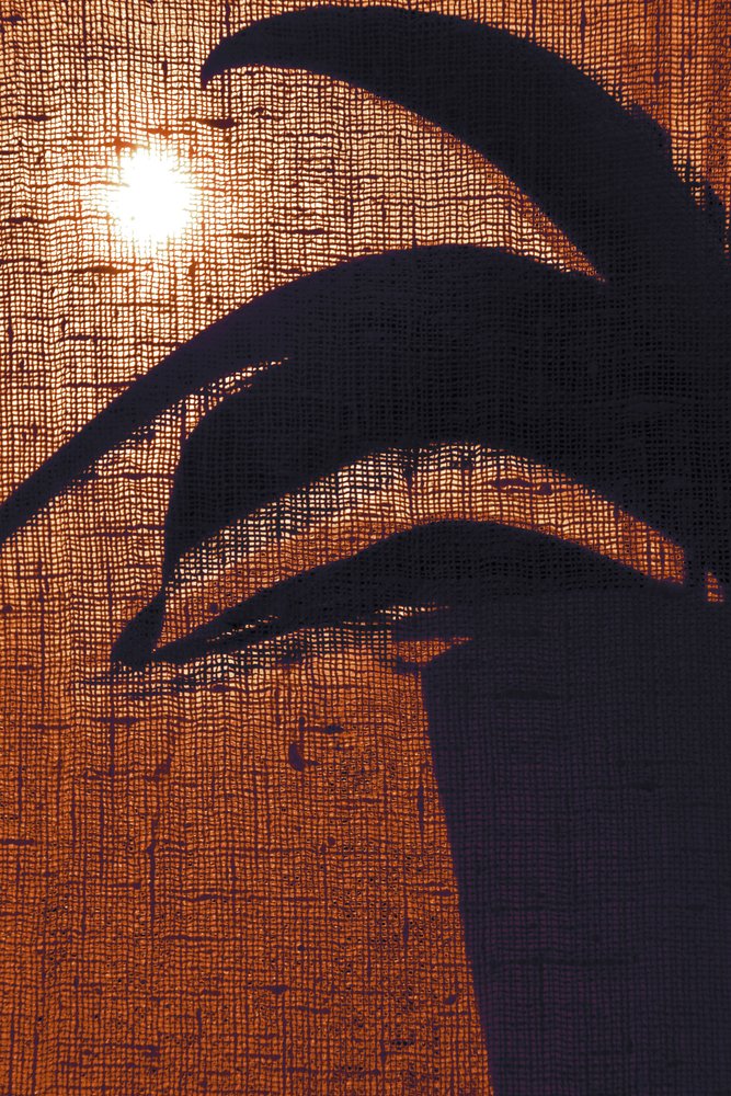 Warm plantensilhouet door Christina Sillen