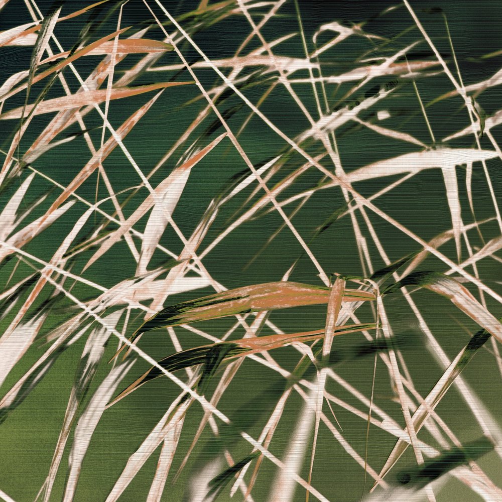 Whispering Reeds – Samenvatting door Christina Sillen