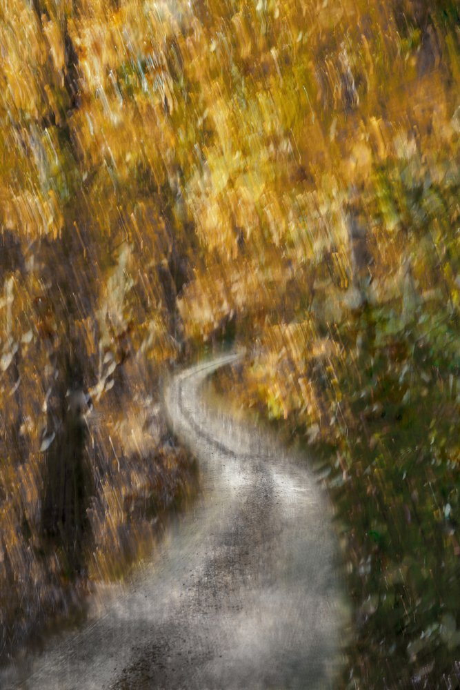 Kronkelend herfstpad door Christina Sillen