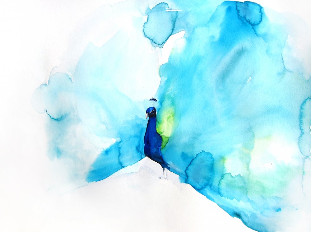 Elegante blauwe pauw door Christine Lindstrom