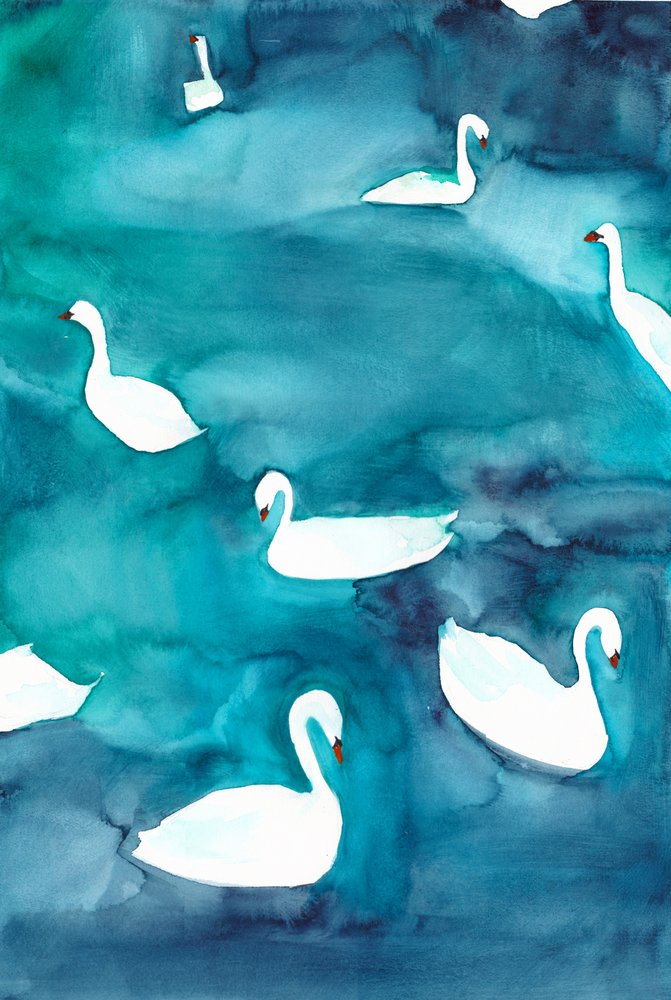 Sierlijke zwanen op het water door Christine Lindstrom