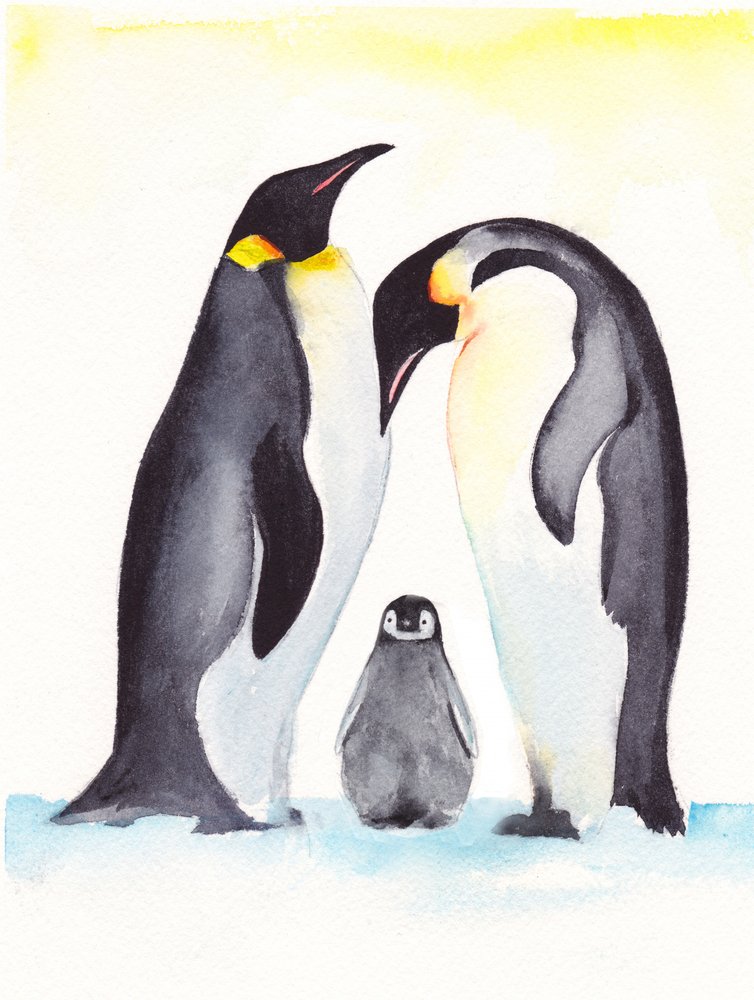 Familiefoto van pinguïns door Christine Lindstrom