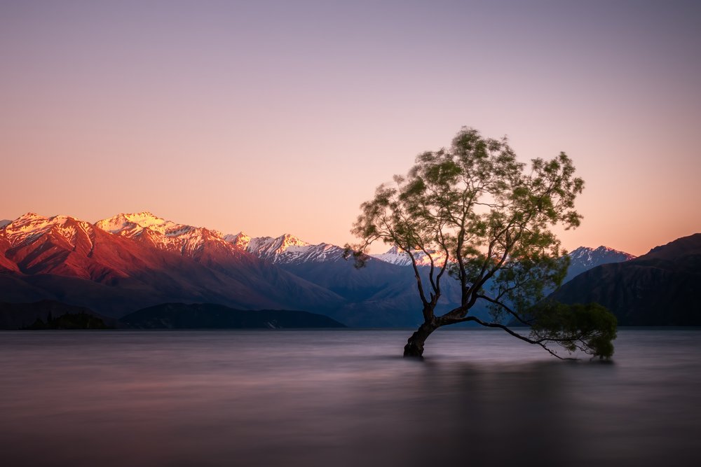 Twilight Lake, Lone Tree door Christoph Schaarschmidt